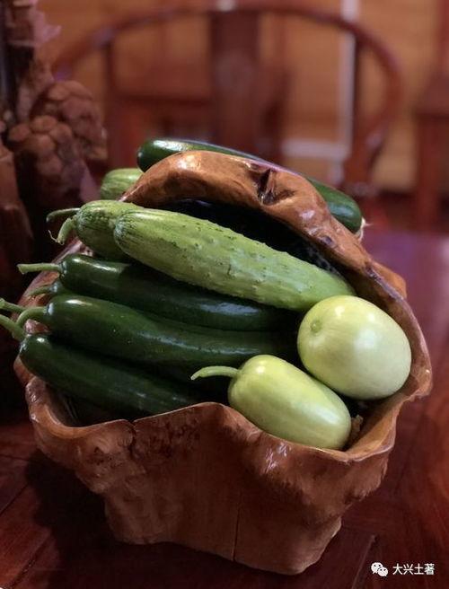 网红吃瓜哪个好,揭秘热门事件背后的真相与趣味